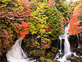 Autumn tints and the RYUZU waterfall（in autumn）