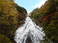 The YUDAKI waterfall（in autumn）